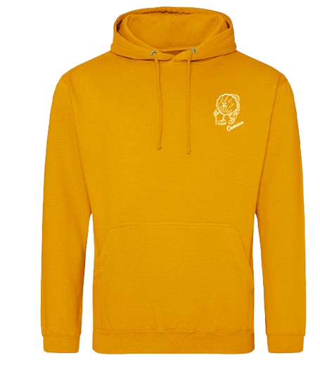 Sweat à capuche