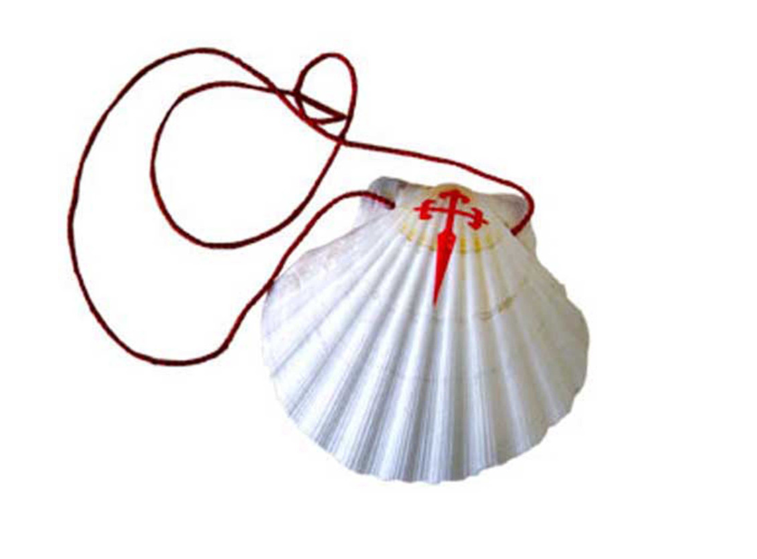 Coquille Saint Jacques